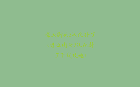 喋血街头2汉化补丁(喋血街头2汉化补丁下载攻略)