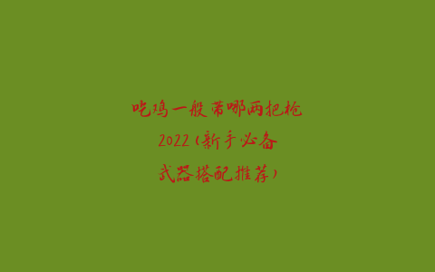 吃鸡一般带哪两把枪2022(新手必备武器搭配推荐)