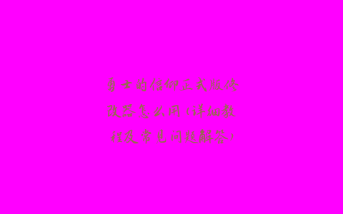 勇士的信仰正式版修改器怎么用(详细教程及常见问题解答)