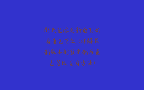 街头篮球更新后怎么看角色等级(详解最新版本街篮更新后角色等级查看方法)