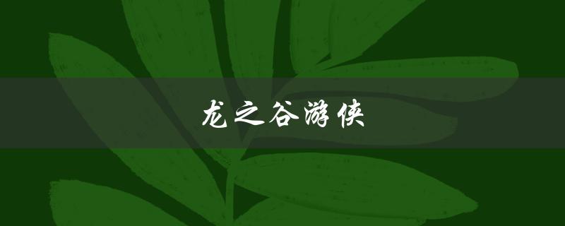 龙之谷游侠(如何提高游戏技巧)