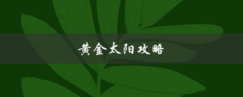 黄金太阳攻略(如何轻松通关游戏)